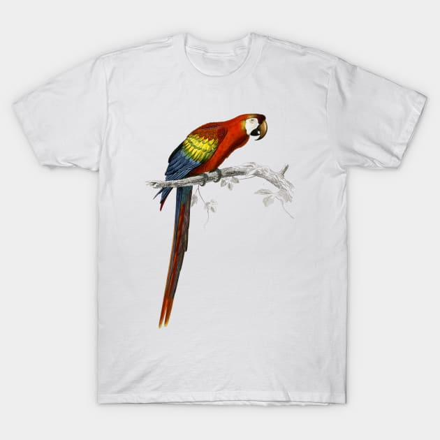 Parrot T-Shirt by Allbestshirts